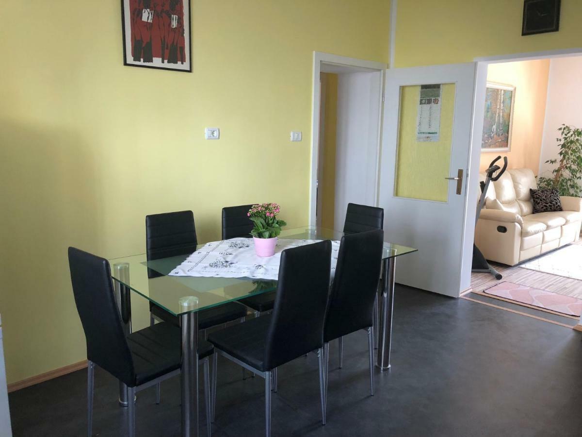 Apartma Mahnic Postojna Extérieur photo
