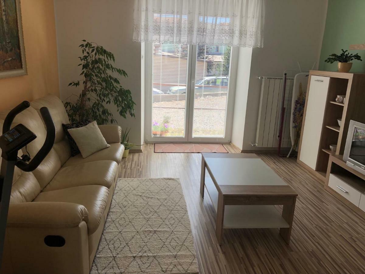 Apartma Mahnic Postojna Extérieur photo