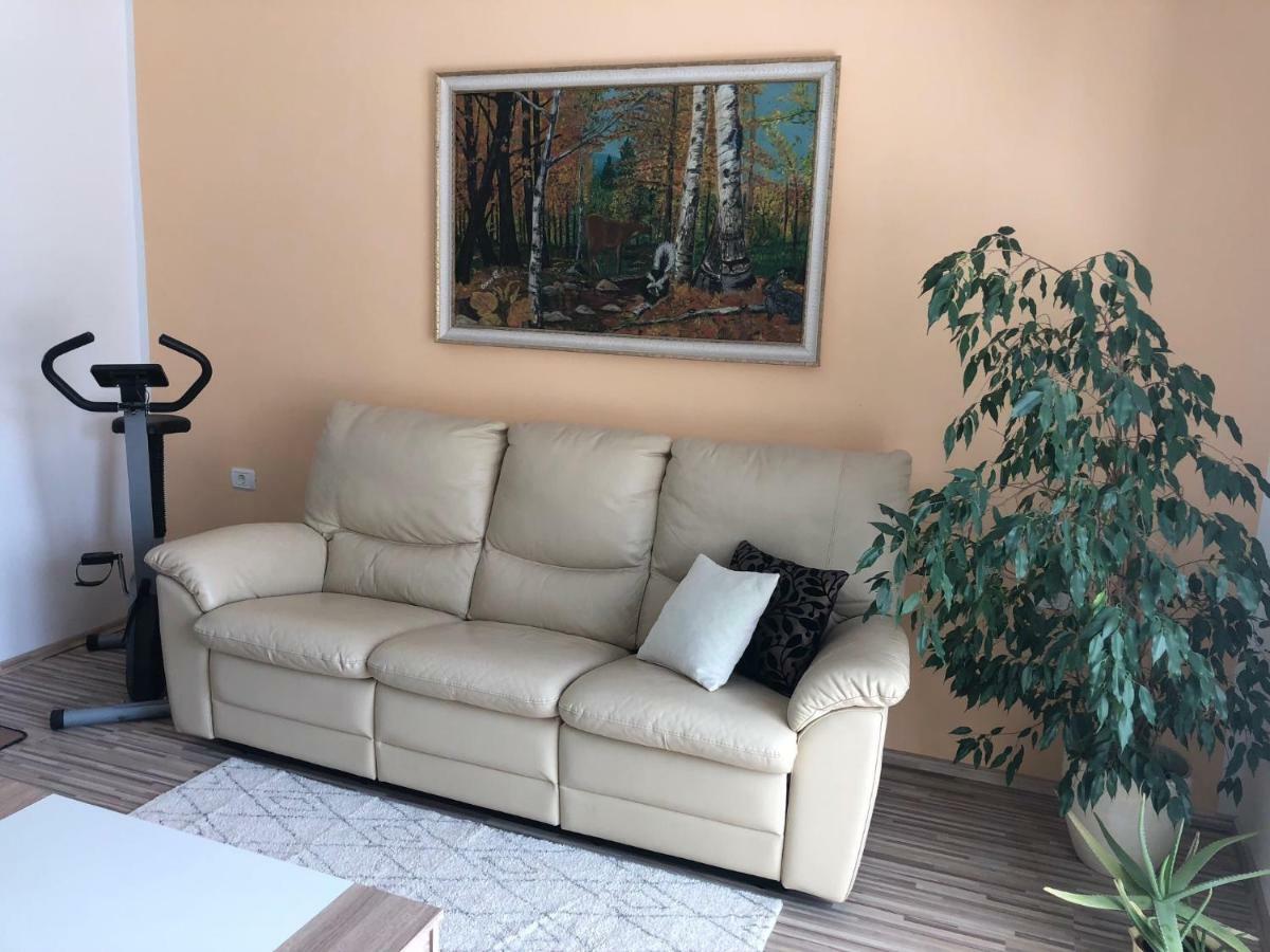 Apartma Mahnic Postojna Extérieur photo